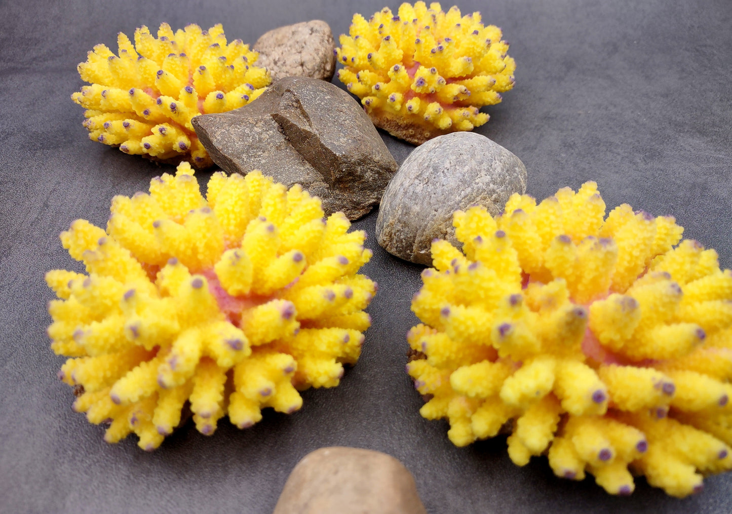 Yellow FAUX Finger Staghorn Coral Acropora Humilis (1 FAKE Coral approx. 4Wx3Tx4D) Perfect coral for any coastal display or crafting! Copyright 2024 SeaShellMart.com.