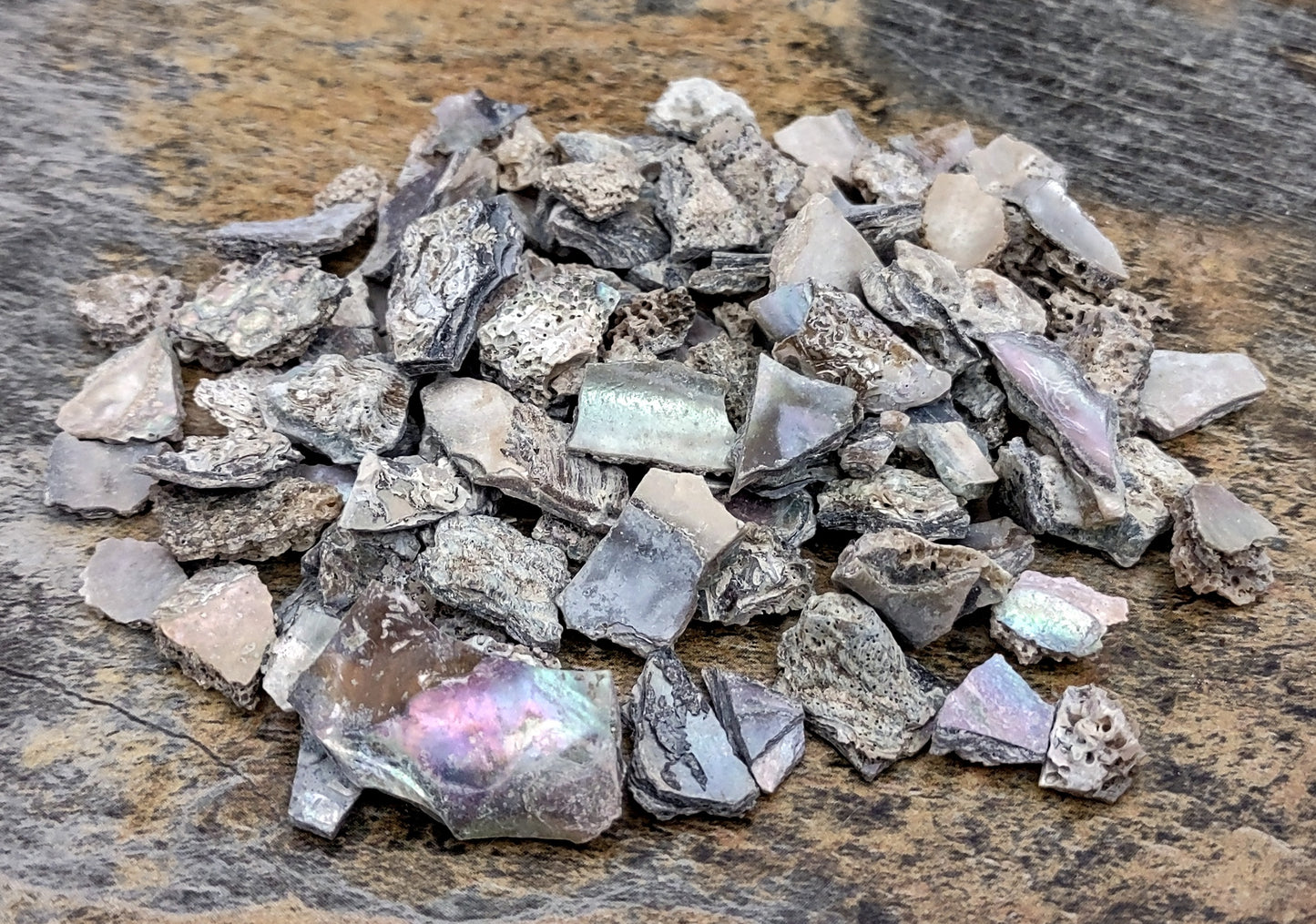 Pink Abalone Seashell Chips (approx. 0.25 cup 170+ chips 0.25+ inches) Great chip pack for coastal crafting arts & displays!