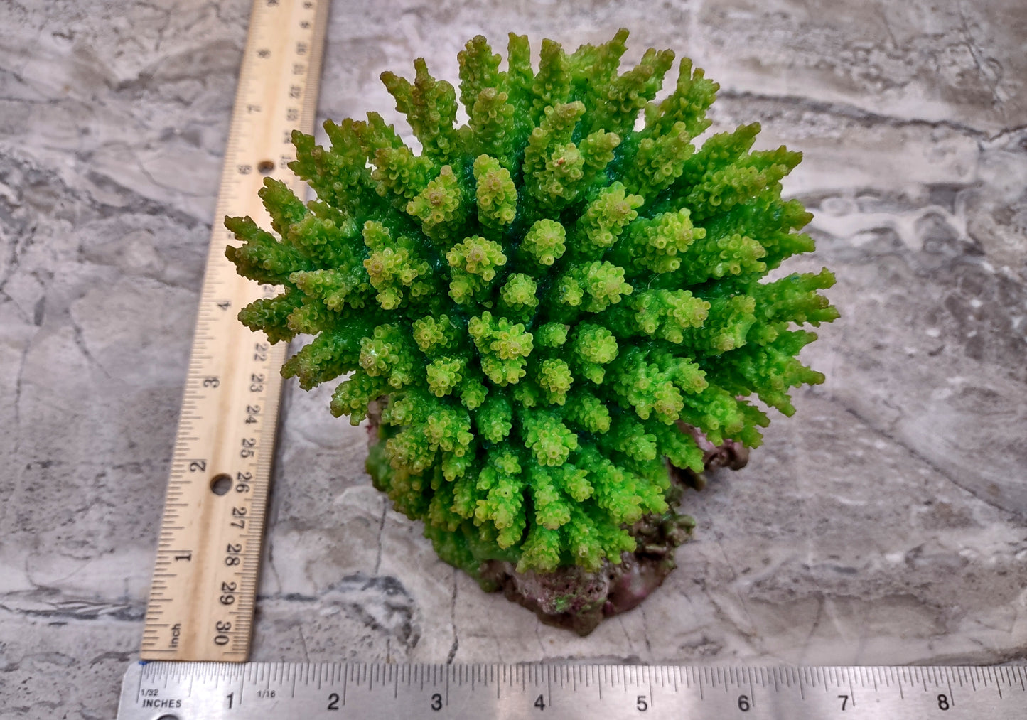 Green FAUX Table Coral - Acropora Hyacinthus - (1 FAUX Coral approx. 5Wx6Dx4T inches). Green thick fluffed coral set on rock. Copyright 2024 SeaShellSupply.co