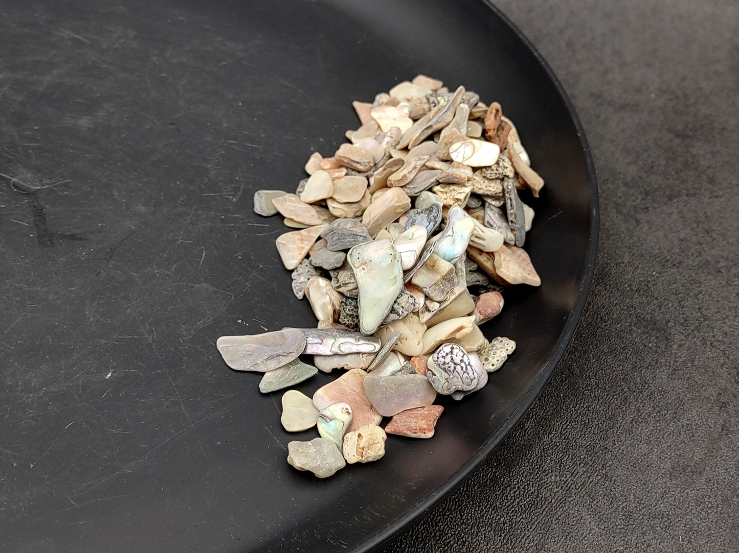 Abalone Seashell Chips (0.25 cup approx. 180+ chips 0.25+ inches) Iridescent shell chips for display crafts & collecting!