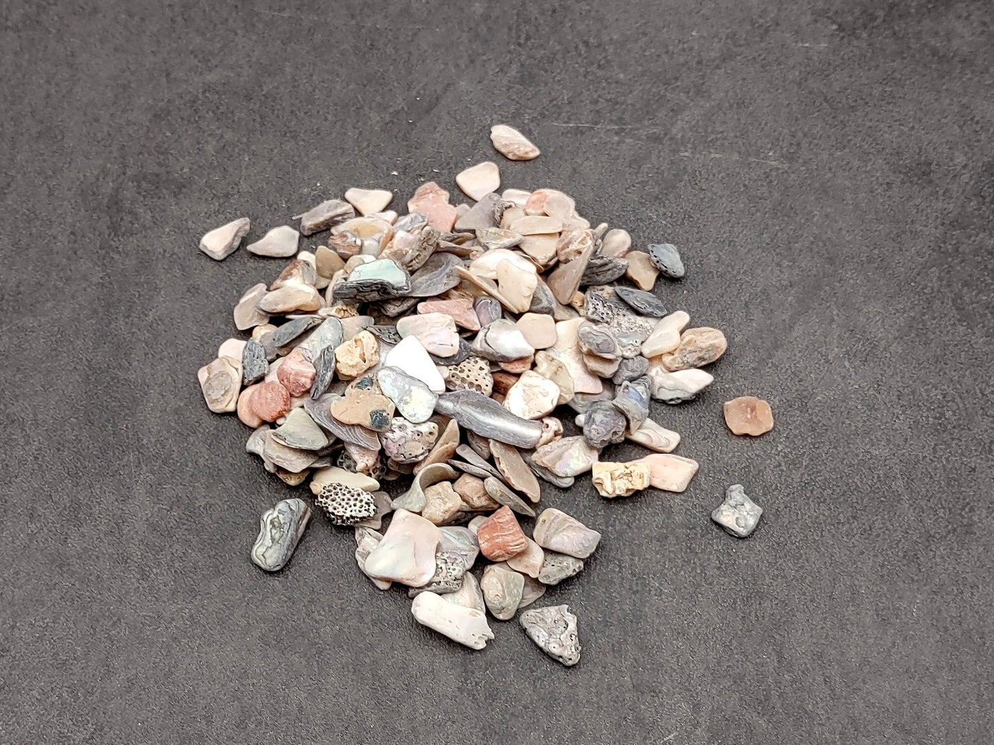 Abalone Seashell Chips (0.25 cup approx. 180+ chips 0.25+ inches) Iridescent shell chips for display crafts & collecting!