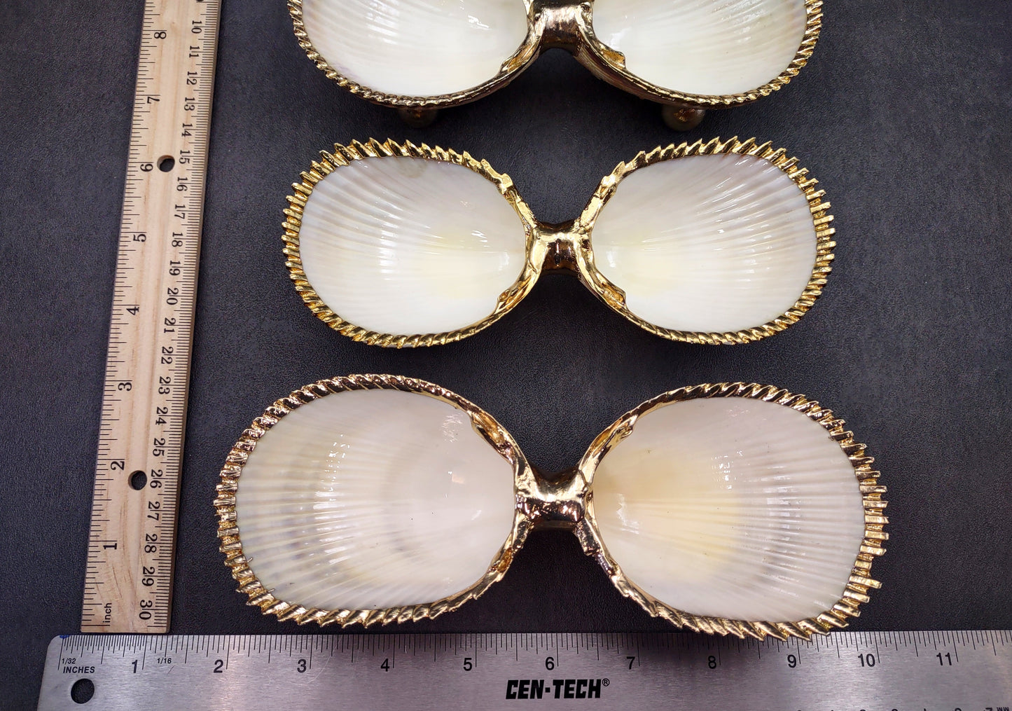Gold-Plated Footed Duo Cockle Dish - Cardium Cardium - (1 Shell Dish approx. 6-7 inches) Two shells with gold plated decoration. Decorative retro dish. Copyright 2024 SeaShellSupply.com