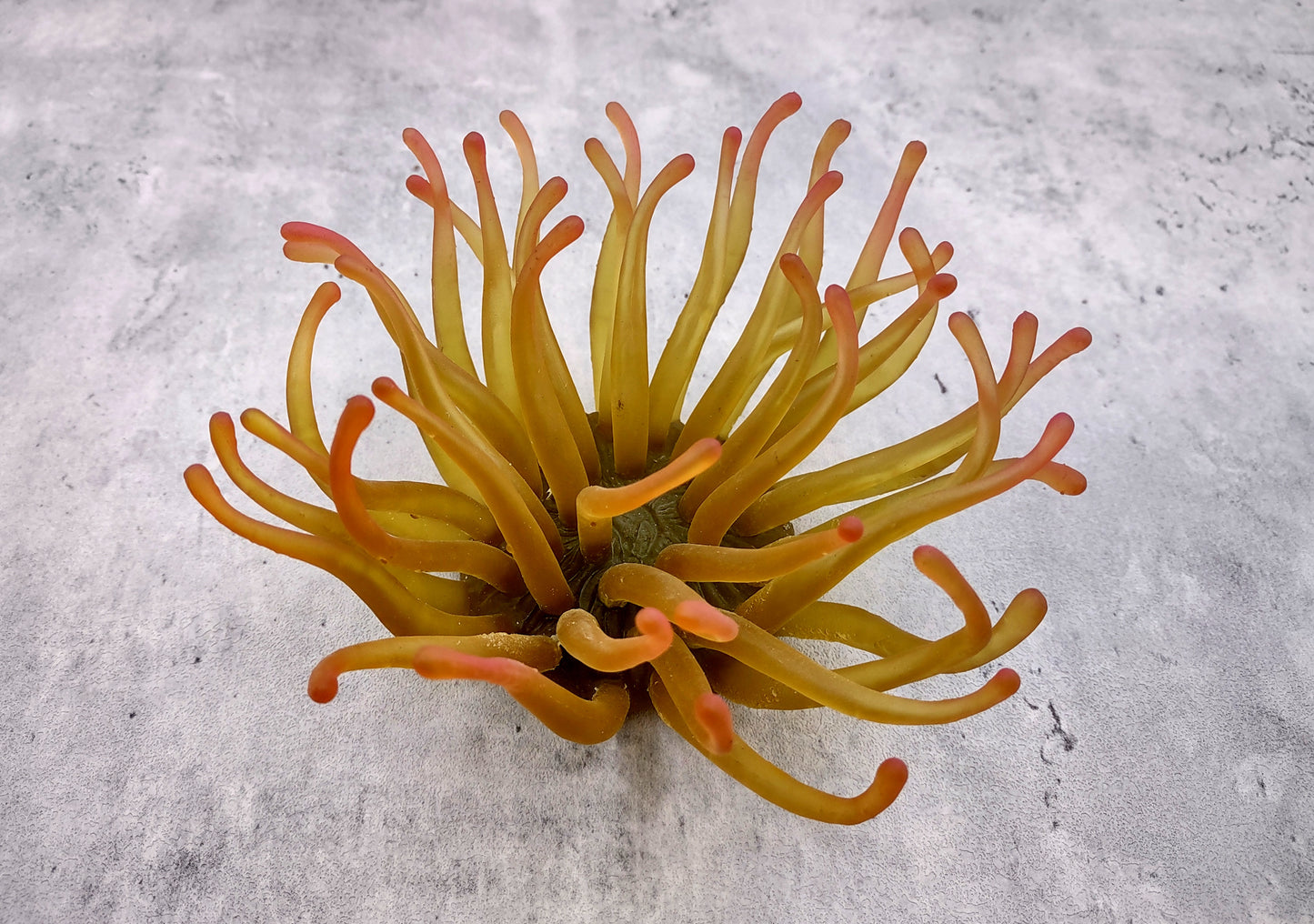 Aqua FAUX Anemone - Condylactis Gigantea - (1 FAUX Anemone approx. 5Wx4Dx5T inches). green ombre fake anemone with pink tipped tentacles. Copyright 2024 SeaShellSupply.com.