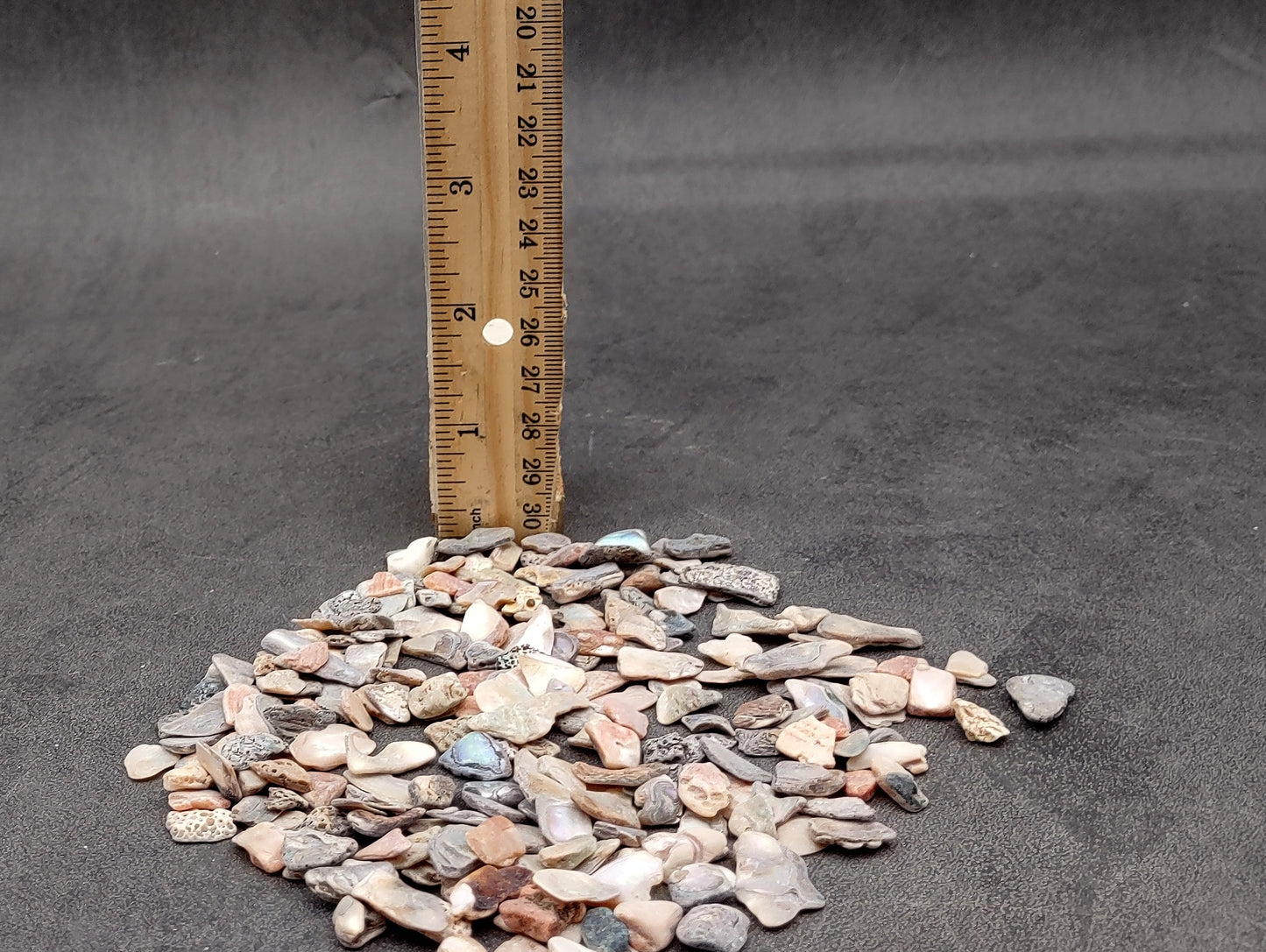 Abalone Seashell Chips (0.25 cup approx. 180+ chips 0.25+ inches) Iridescent shell chips for display crafts & collecting!