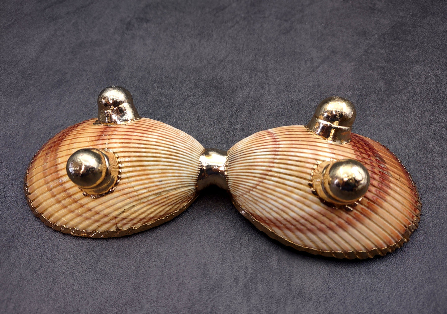 Gold-Plated Footed Duo Cockle Dish - Cardium Cardium - (1 Shell Dish approx. 6-7 inches) Two shells with gold plated decoration. Decorative retro dish. Copyright 2024 SeaShellSupply.com