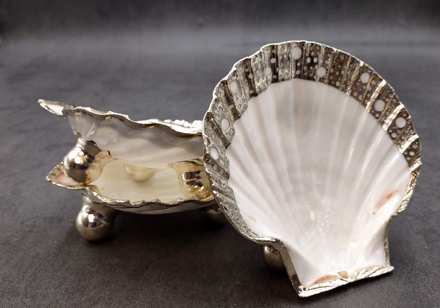 Silver Edged Scallop Seashell Dish Pecten Maximus (1 dish approx. 4.5+ inches) CIRCLE PATTERN scallop shell dish for a coastal home!