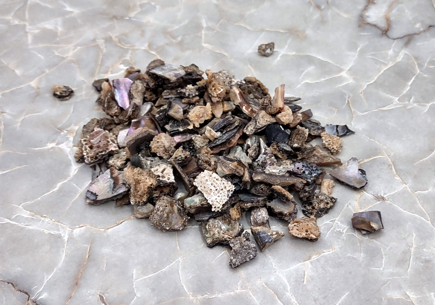 Pink Abalone Seashell Chips (approx. 0.25 cup 170+ chips 0.25+ inches) Great chip pack for coastal crafting arts & displays!