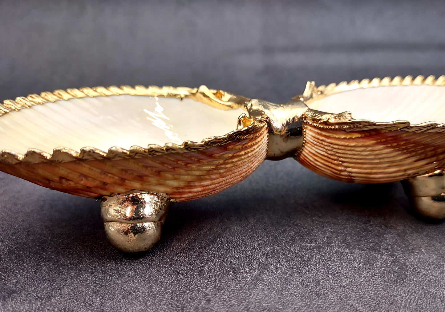 Gold-Plated Footed Duo Cockle Dish - Cardium Cardium - (1 Shell Dish approx. 6-7 inches) Two shells with gold plated decoration. Decorative retro dish. Copyright 2024 SeaShellSupply.com