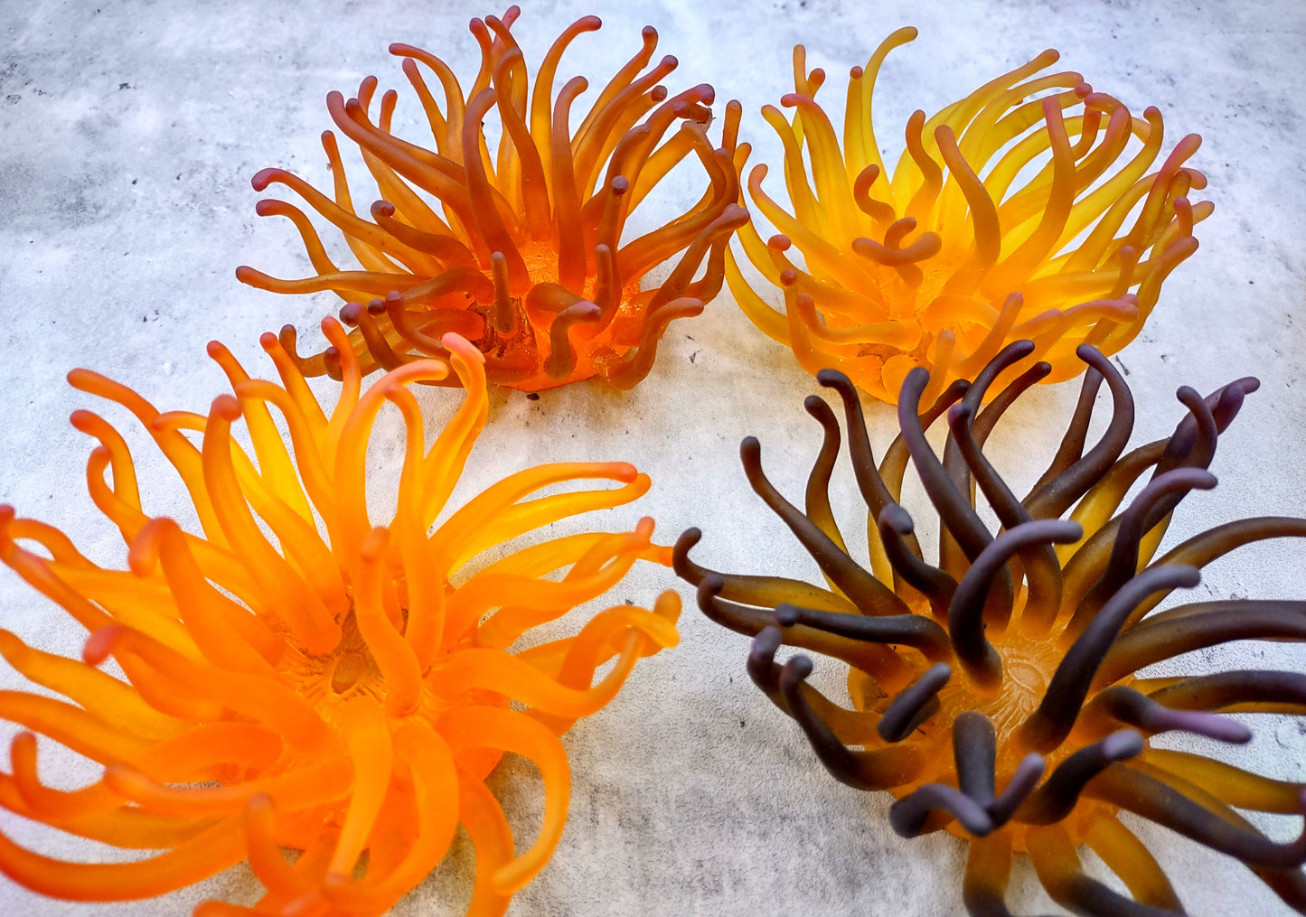 Condylactis Yellow FAUX Anemone - Condylactis Gigantea - (1 FAUX Anemone approx. 5x2.75x5 inches). Orange and yellow fake anemone with purple tipped tentacles. Copyright 2024 SeaShellSupply.com.