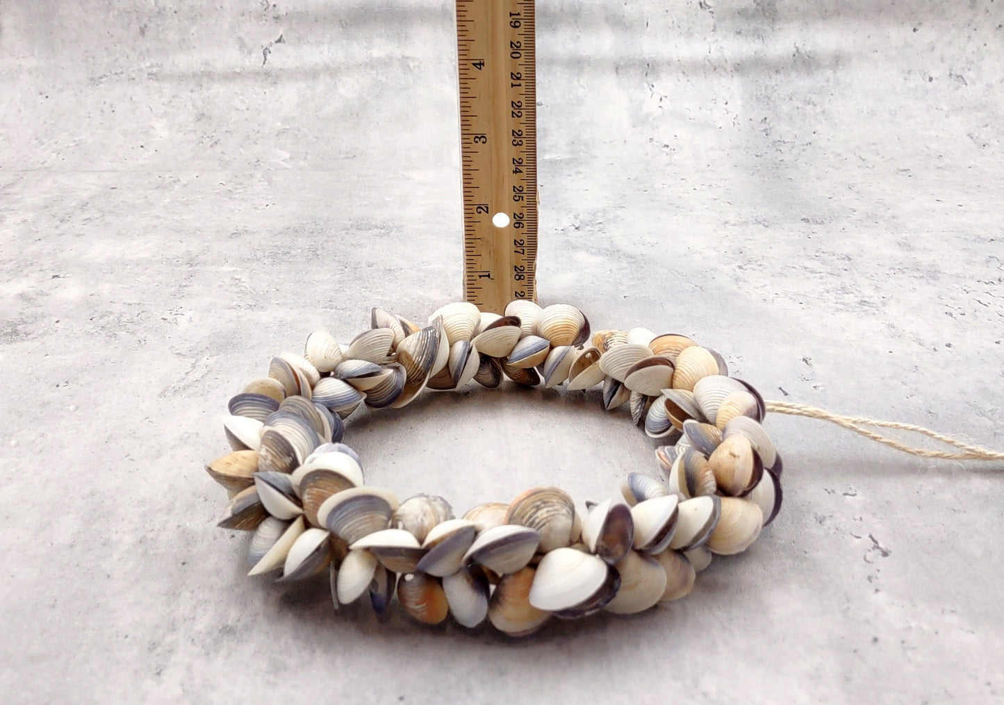 Purple White Cay Cay Seashell Round Wreath (approx. 6+ inch circle 0.75+ inch shells) Nautical Holiday Party Gift Home Décor!