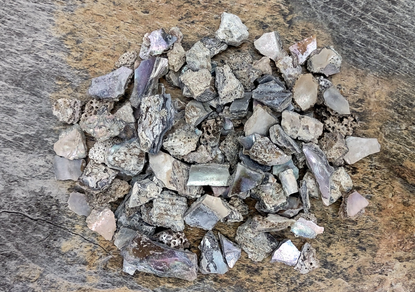 Pink Abalone Seashell Chips (approx. 0.25 cup 170+ chips 0.25+ inches) Great chip pack for coastal crafting arts & displays!