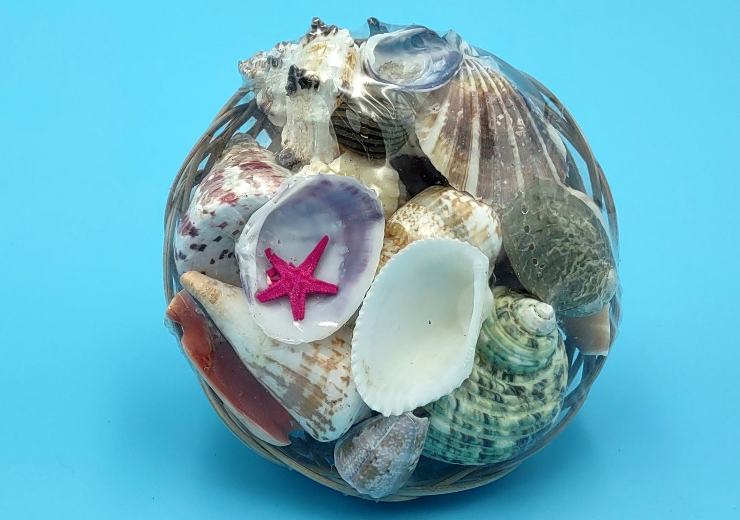 Mixed Shell Assortment in Basket (4 inches). Multiple different colored shells of different sizes in a little variety pack. Copyright 2022 SeaShellSupply.com.