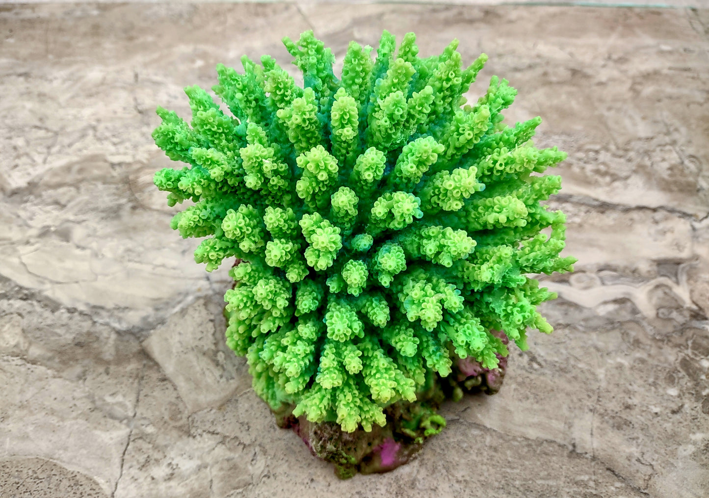 Green FAUX Table Coral - Acropora Hyacinthus - (1 FAUX Coral approx. 5Wx6Dx4T inches). Green thick fluffed coral set on rock. Copyright 2024 SeaShellSupply.co