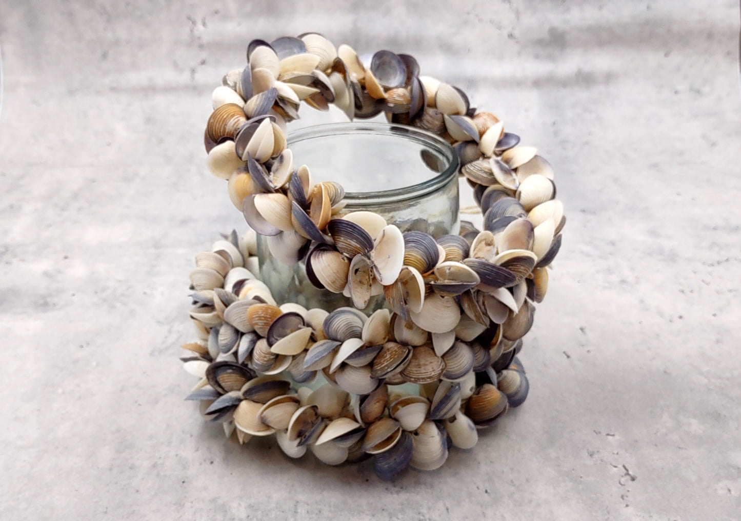 Purple White Cay Cay Seashell Round Wreath (approx. 6+ inch circle 0.75+ inch shells) Nautical Holiday Party Gift Home Décor!
