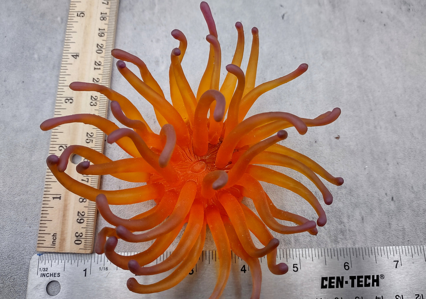 Orange/Yellow FAUX Anemone - Condylactis Gigantea - (1 FAKE Anemone approx. 5Wx2Dx5T inches) with pink tips, on light background. Copyright 2024 SeaShellSupply.com.