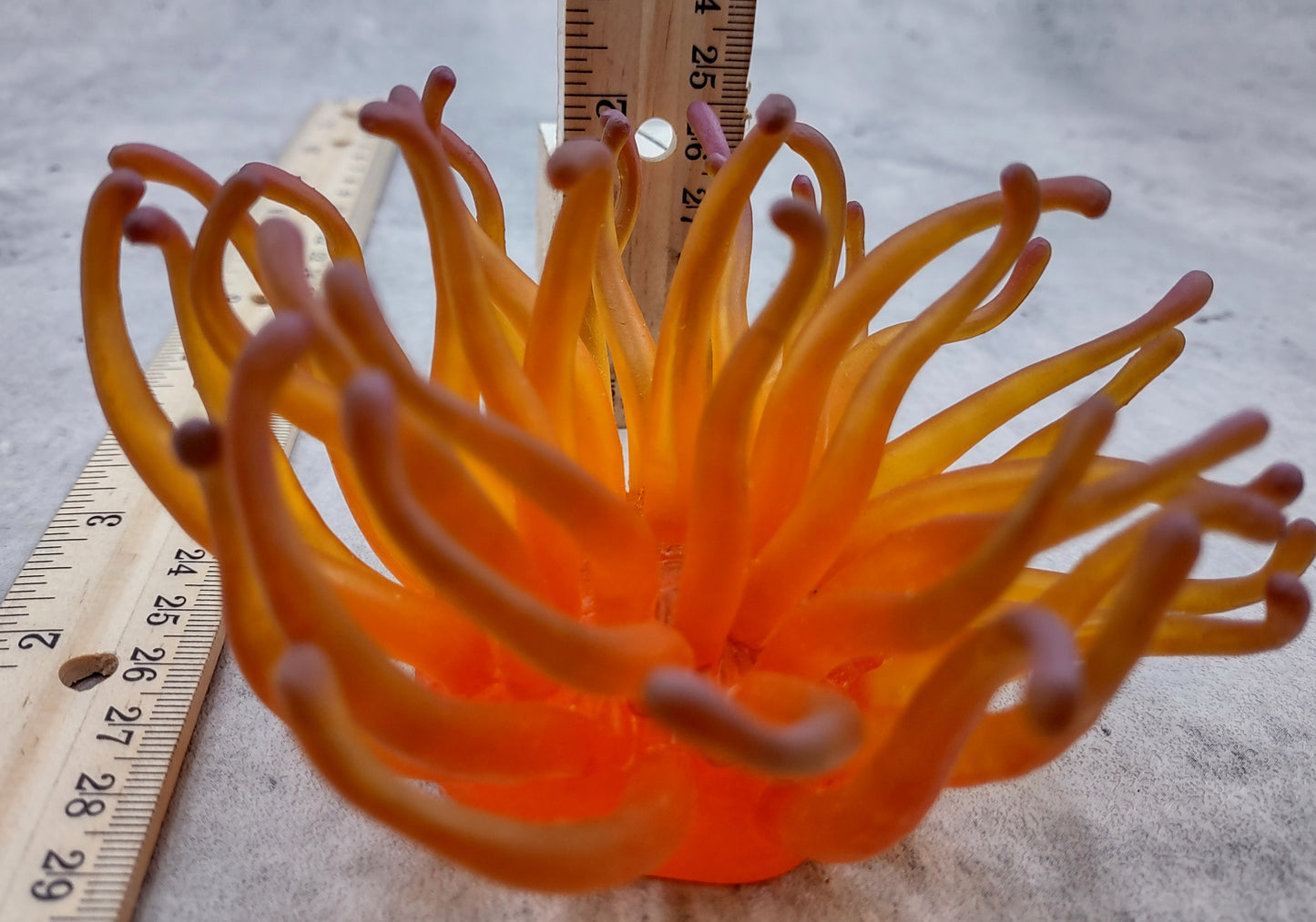 Orange/Yellow FAUX Anemone - Condylactis Gigantea - (1 FAKE Anemone approx. 5Wx2Dx5T inches) with pink tips, on light background. Copyright 2024 SeaShellSupply.com.