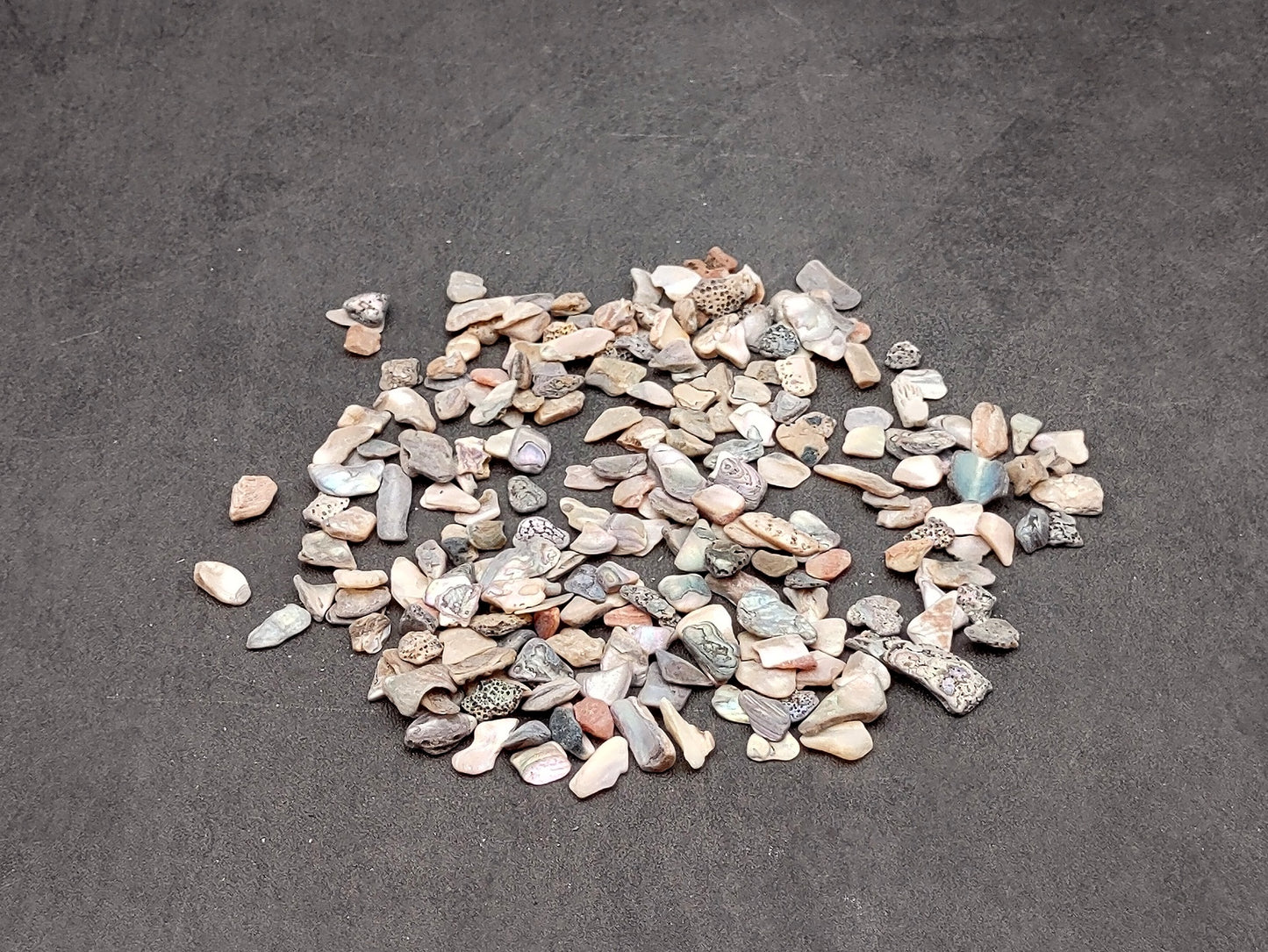 Abalone Seashell Chips (0.25 cup approx. 180+ chips 0.25+ inches) Iridescent shell chips for display crafts & collecting!
