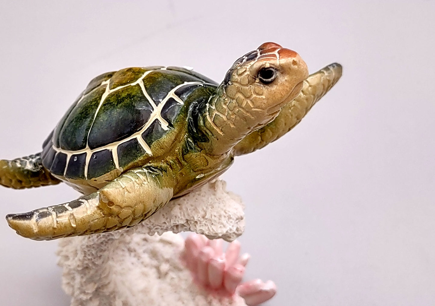 Green Sea Turtle Figurine on Coral Painted Resin (1 turtle approx. 5+ inches) Green Painted Resin Turtle Figure for coastal home décor!