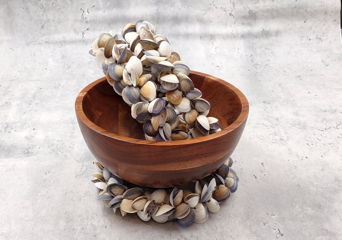 Purple White Cay Cay Seashell Round Wreath (approx. 6+ inch circle 0.75+ inch shells) Nautical Holiday Party Gift Home Décor!