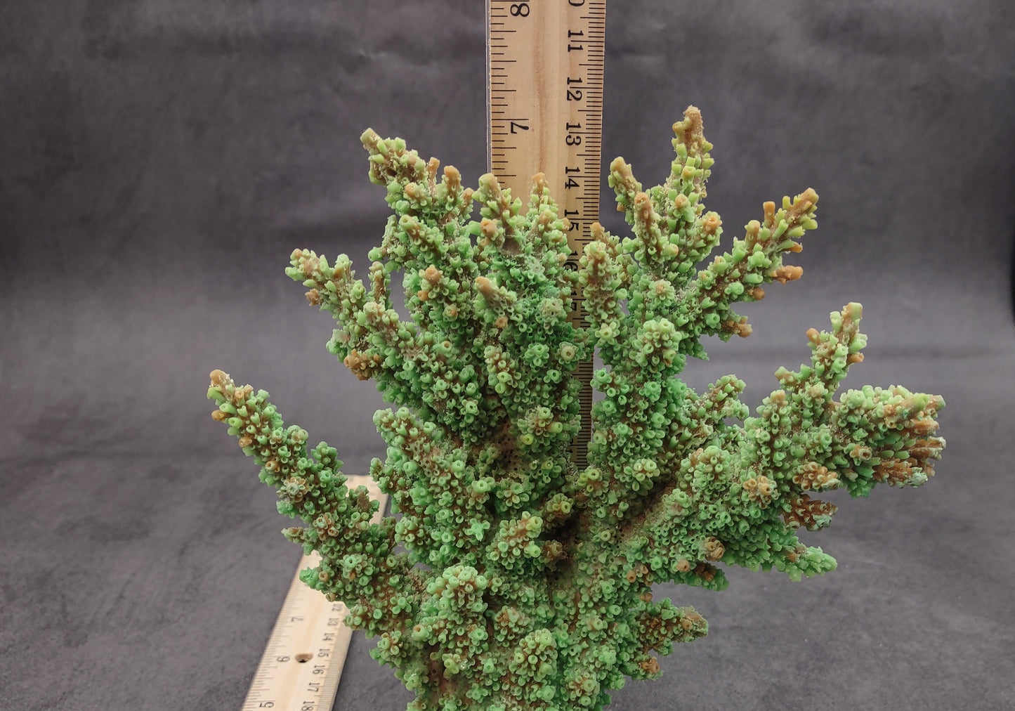 Green FAUX Branch Coral - Acropora Florida - (1 Fake Coral approx. 7.5Tx7Wx2D inches) on light background. Copyright 2024 SeaShellSupply.com.