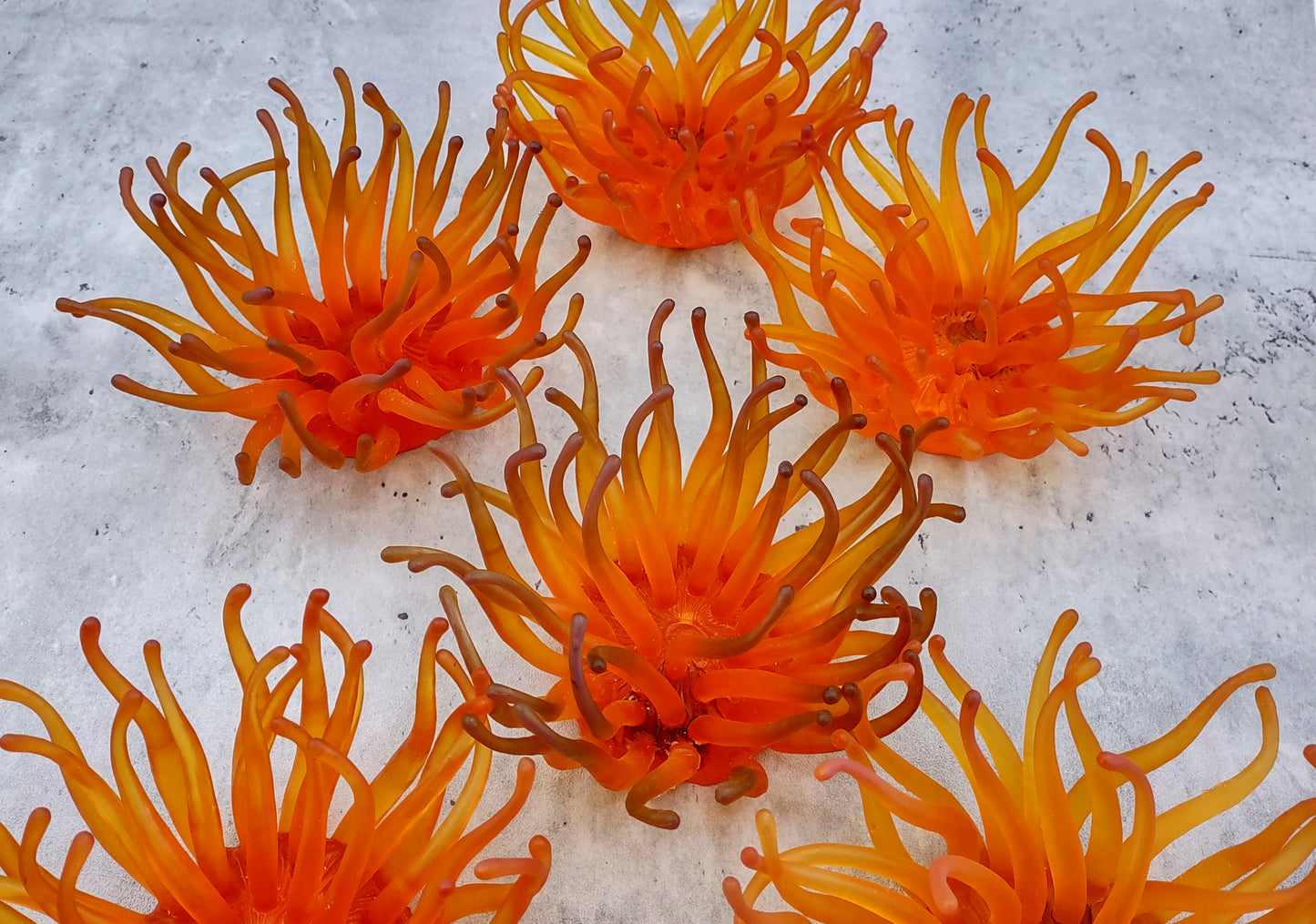 Orange FAUX Anemone - Condylactis Gigantea - (1 FAUX Anemone, Approx. 6Wx3Dx6T). Long armed orange to yellow ombre anemone with a round base. Copyright 2024 SeaShellSupply.com.