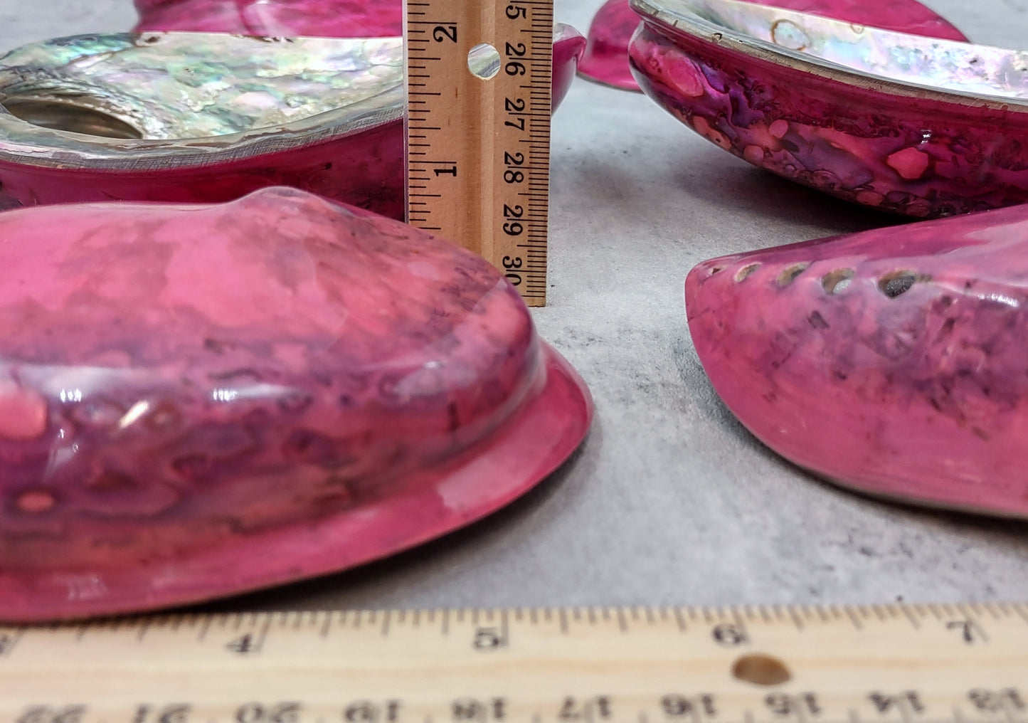 Polished Pink Midas Abalone - Haliotis Midae - (1 shell approx. 5-6 inches). One pink spiral glazed shell with wide opening and small spiral off to one side. Copyright 2022 SeaShellSupply.com.