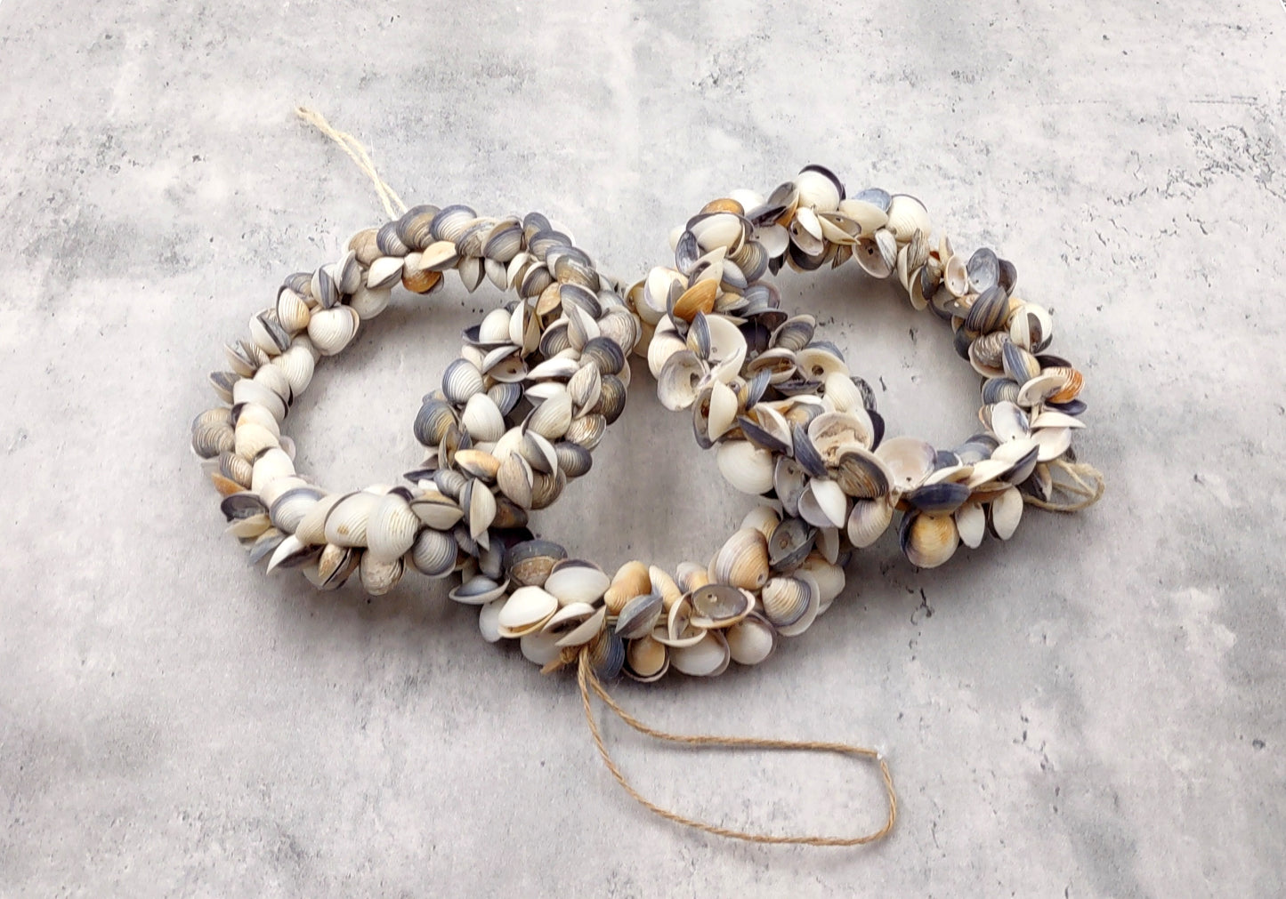 Purple White Cay Cay Seashell Round Wreath (approx. 6+ inch circle 0.75+ inch shells) Nautical Holiday Party Gift Home Décor!