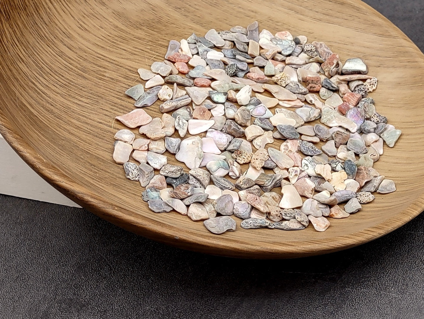 Abalone Seashell Chips (0.25 cup approx. 180+ chips 0.25+ inches) Iridescent shell chips for display crafts & collecting!