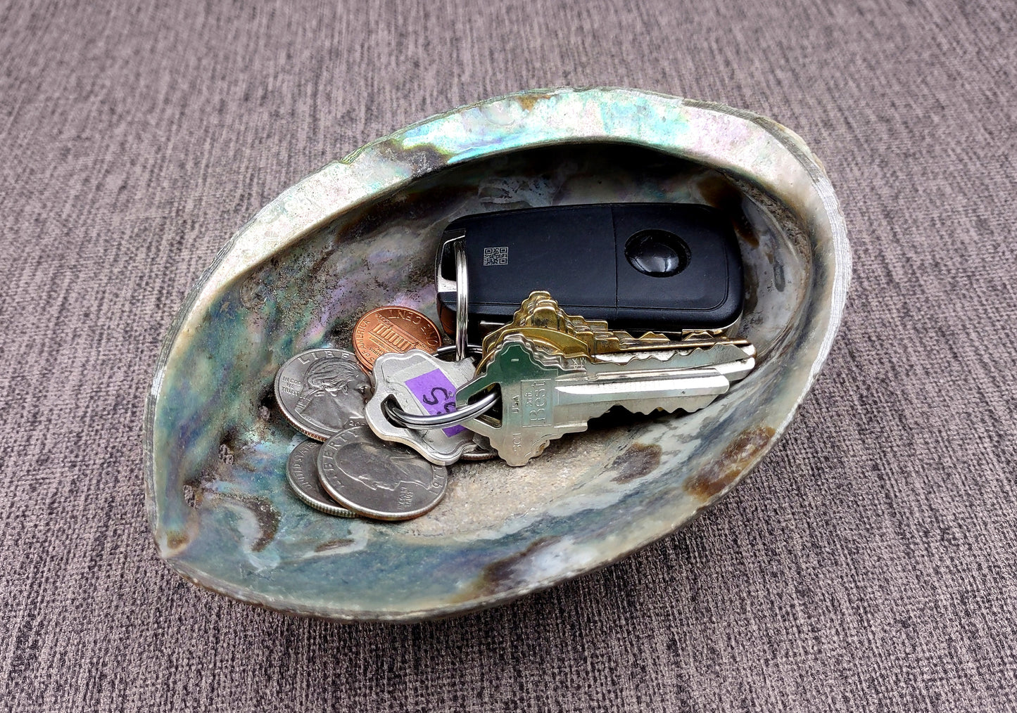 Paua Abalone Seashell Dish with Stand (1 shell approx. 5-5.5+ inches) Copyright 2024 SeashellSupply.com
