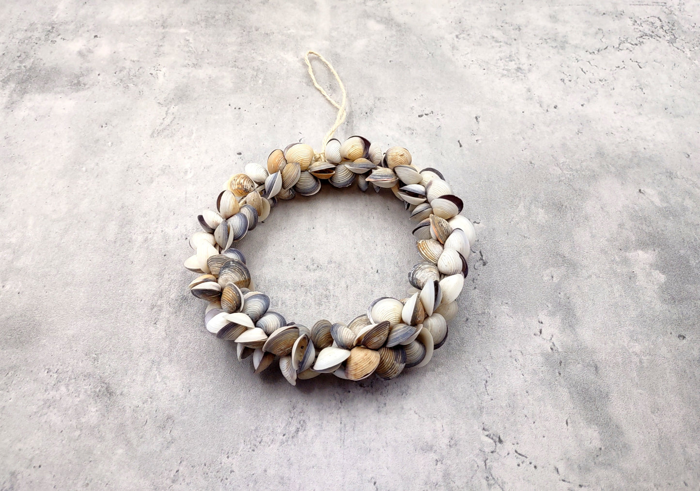 Purple White Cay Cay Seashell Round Wreath (approx. 6+ inch circle 0.75+ inch shells) Nautical Holiday Party Gift Home Décor!