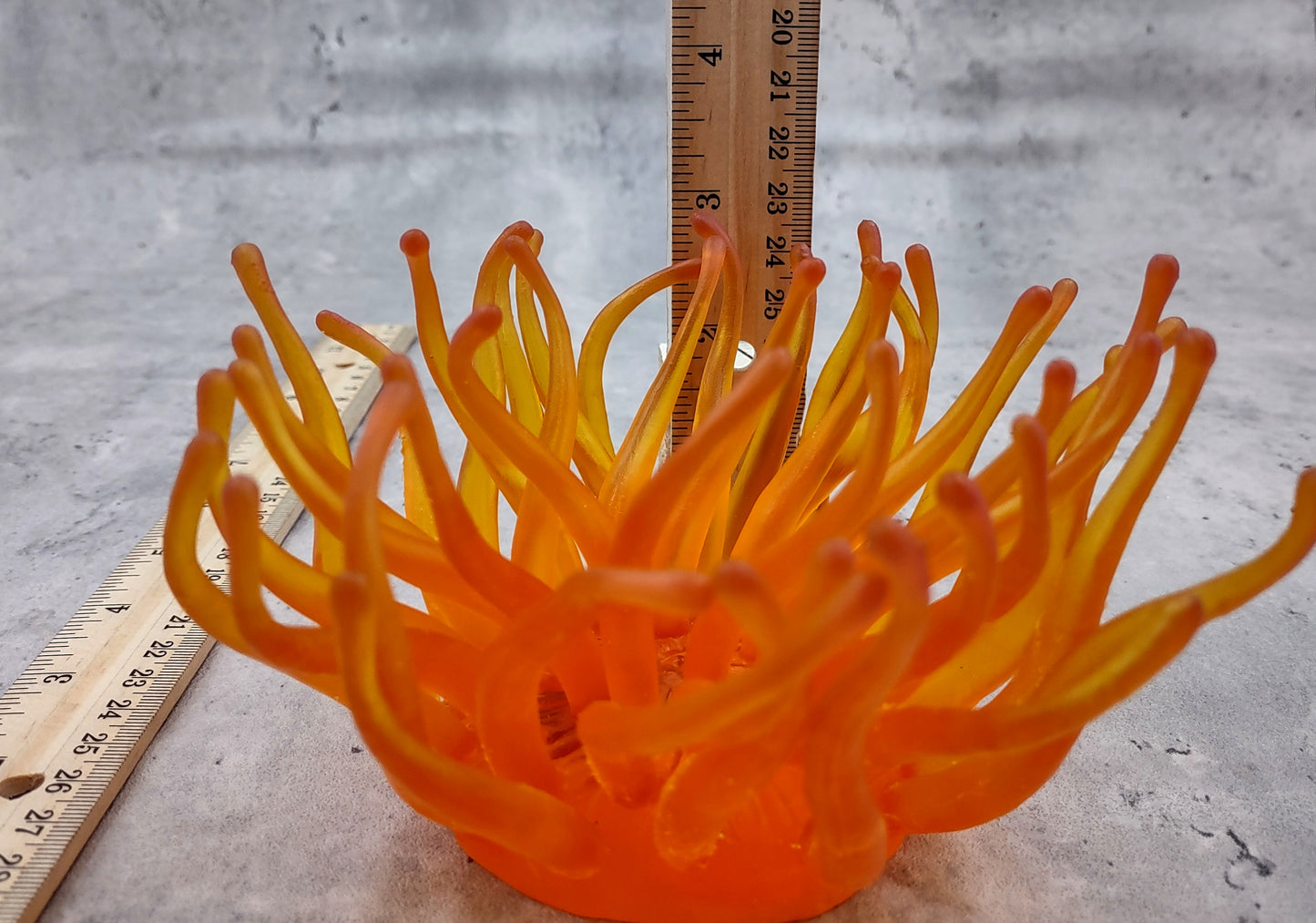 Orange FAUX Anemone - Condylactis Gigantea - (1 FAUX Anemone, Approx. 6Wx3Dx6T). Long armed orange to yellow ombre anemone with a round base. Copyright 2024 SeaShellSupply.com.