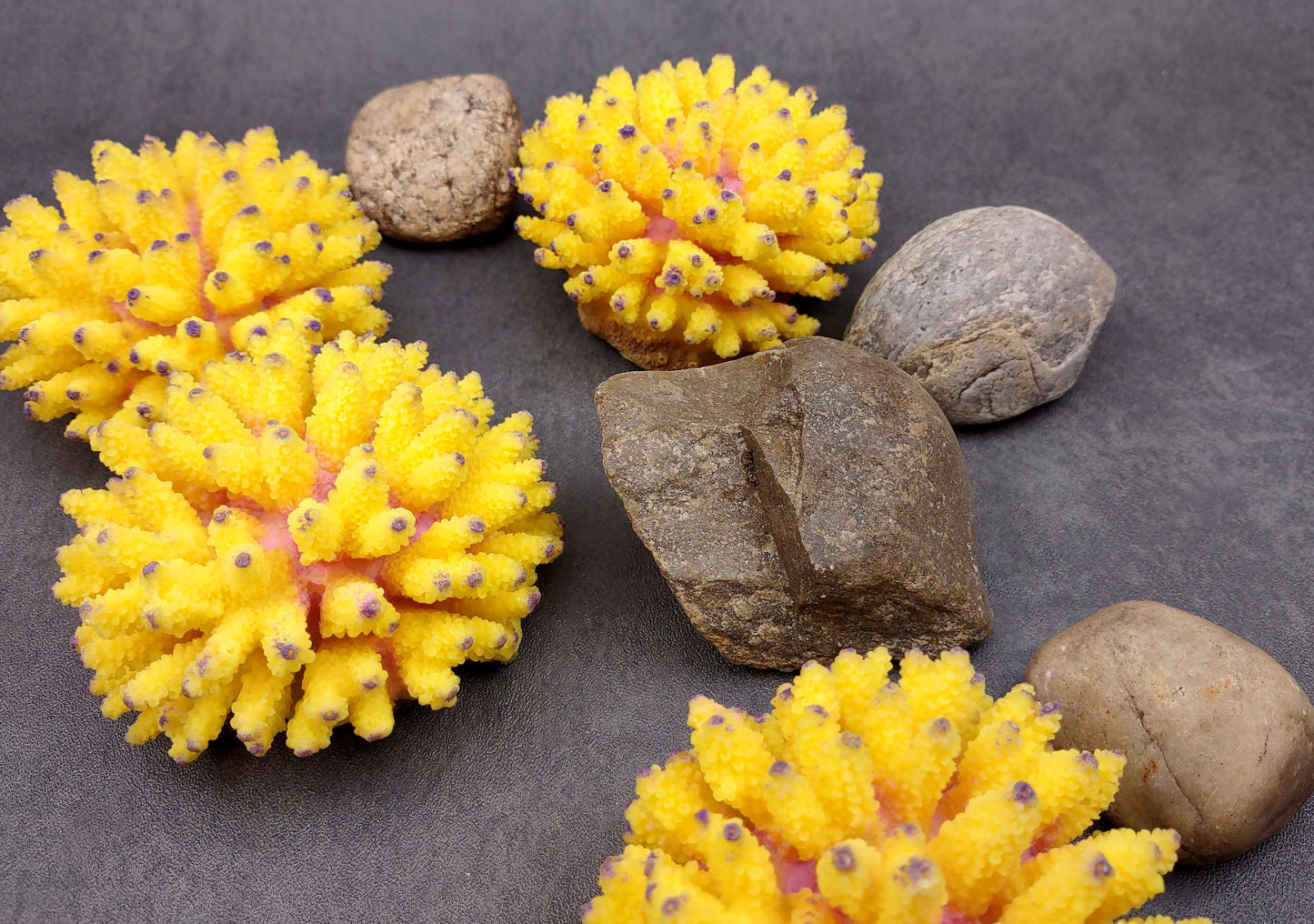 Yellow FAUX Finger Staghorn Coral Acropora Humilis (1 FAKE Coral approx. 4Wx3Tx4D) Perfect coral for any coastal display or crafting! Copyright 2024 SeaShellMart.com.