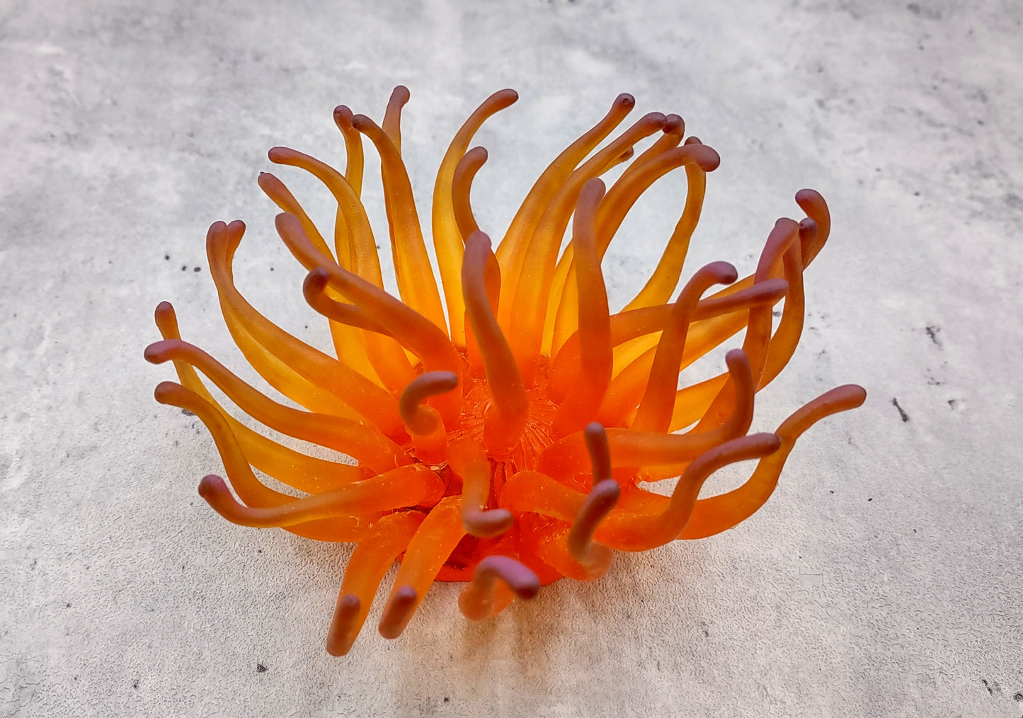 Orange/Yellow FAUX Anemone - Condylactis Gigantea - (1 FAKE Anemone approx. 5Wx2Dx5T inches) with pink tips, on light background. Copyright 2024 SeaShellSupply.com.