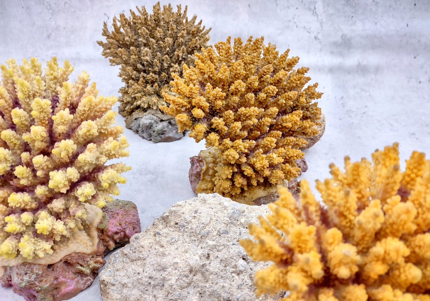 Yellow FAUX Table Coral Acropora Hyacinthus (1 FAKE Coral approx. 3Dx4Tx4W inches) Perfect coral for any coastal display or crafting!