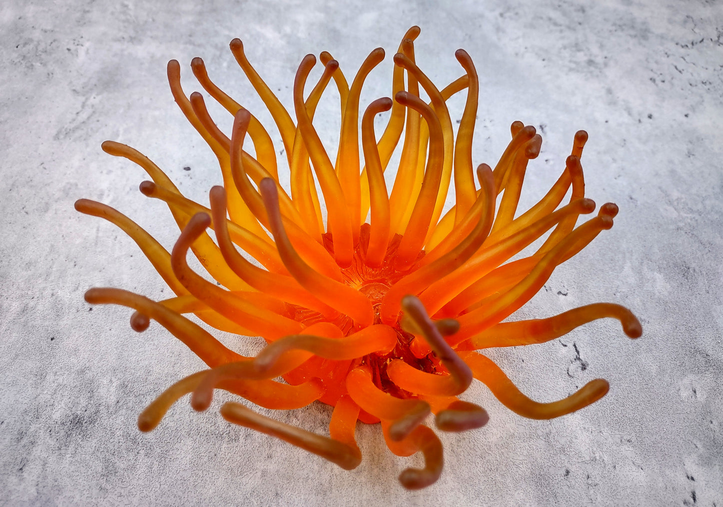 Orange FAUX Anemone - Condylactis Gigantea - (1 FAUX Anemone, Approx. 6Wx3Dx6T). Long armed orange to yellow ombre anemone with a round base. Copyright 2024 SeaShellSupply.com.