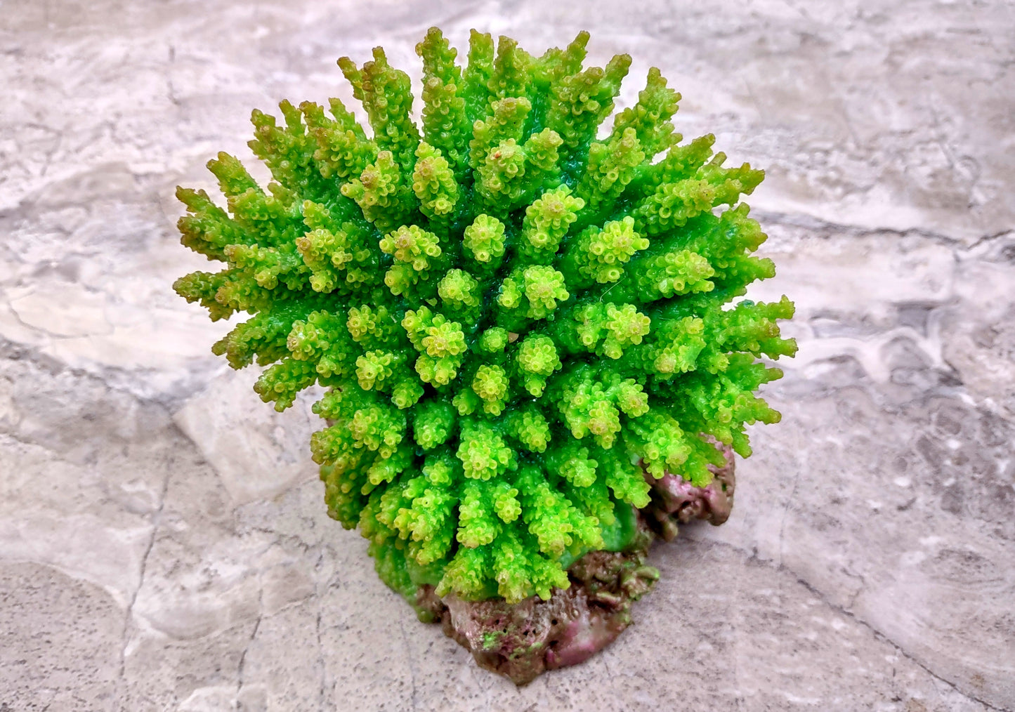 Green FAUX Table Coral - Acropora Hyacinthus - (1 FAUX Coral approx. 5Wx6Dx4T inches). Green thick fluffed coral set on rock. Copyright 2024 SeaShellSupply.co