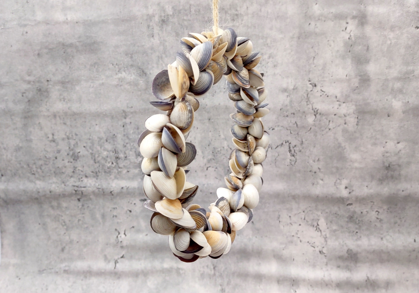 Purple White Cay Cay Seashell Round Wreath (approx. 6+ inch circle 0.75+ inch shells) Nautical Holiday Party Gift Home Décor!