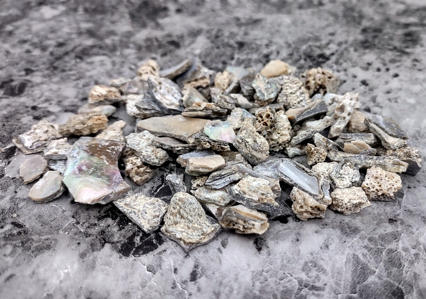 Pink Abalone Seashell Chips (approx. 0.25 cup 170+ chips 0.25+ inches) Great chip pack for coastal crafting arts & displays!