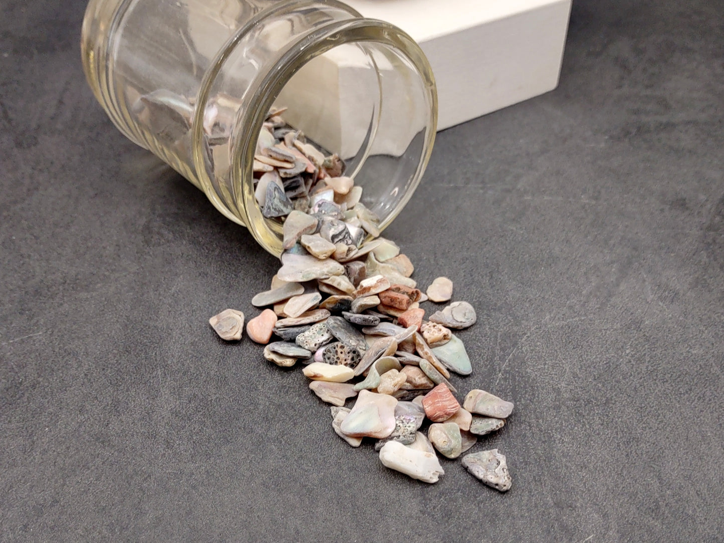 Abalone Seashell Chips (0.25 cup approx. 180+ chips 0.25+ inches) Iridescent shell chips for display crafts & collecting!