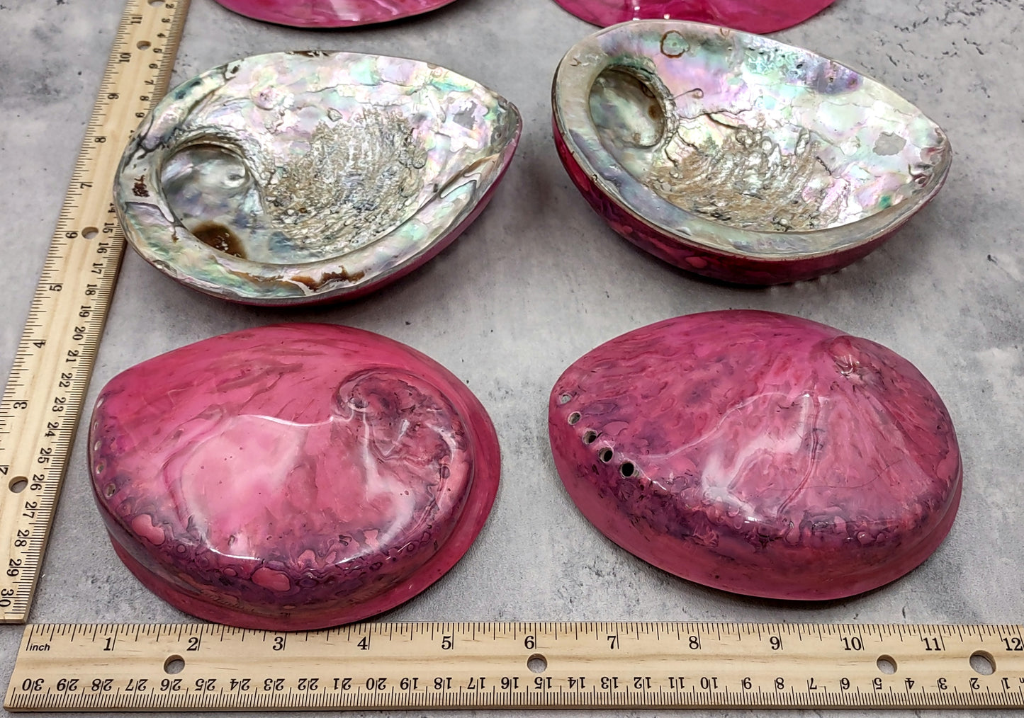 Polished Pink Midas Abalone - Haliotis Midae - (1 shell approx. 5-6 inches). One pink spiral glazed shell with wide opening and small spiral off to one side. Copyright 2022 SeaShellSupply.com.