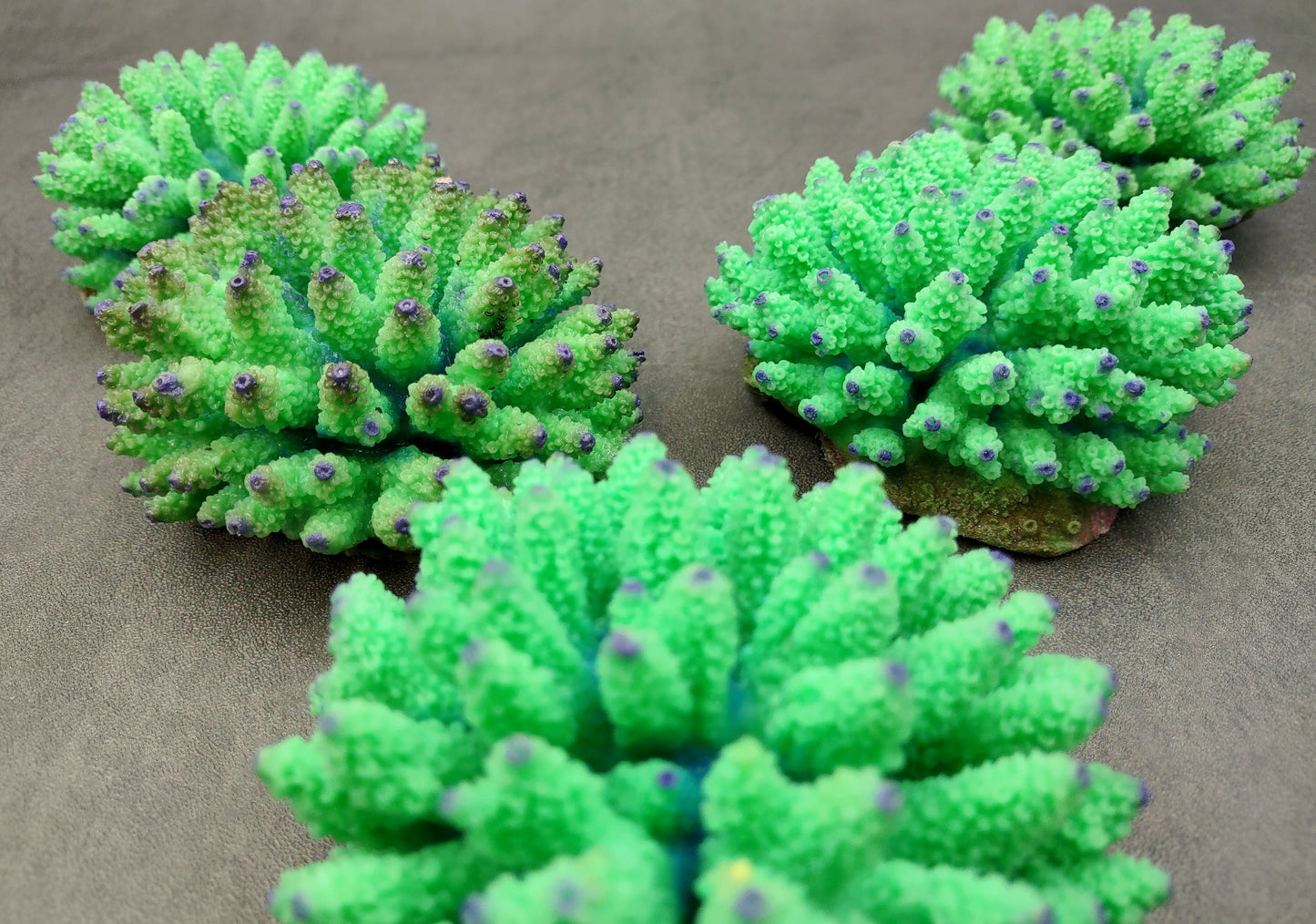 Green FAUX Finger Coral - Acropora Nasuta - (1 FAUX Coral approx. 4Wx3Tx4D inches) on light background. Copyright 2024 SeaShellSupply.com.