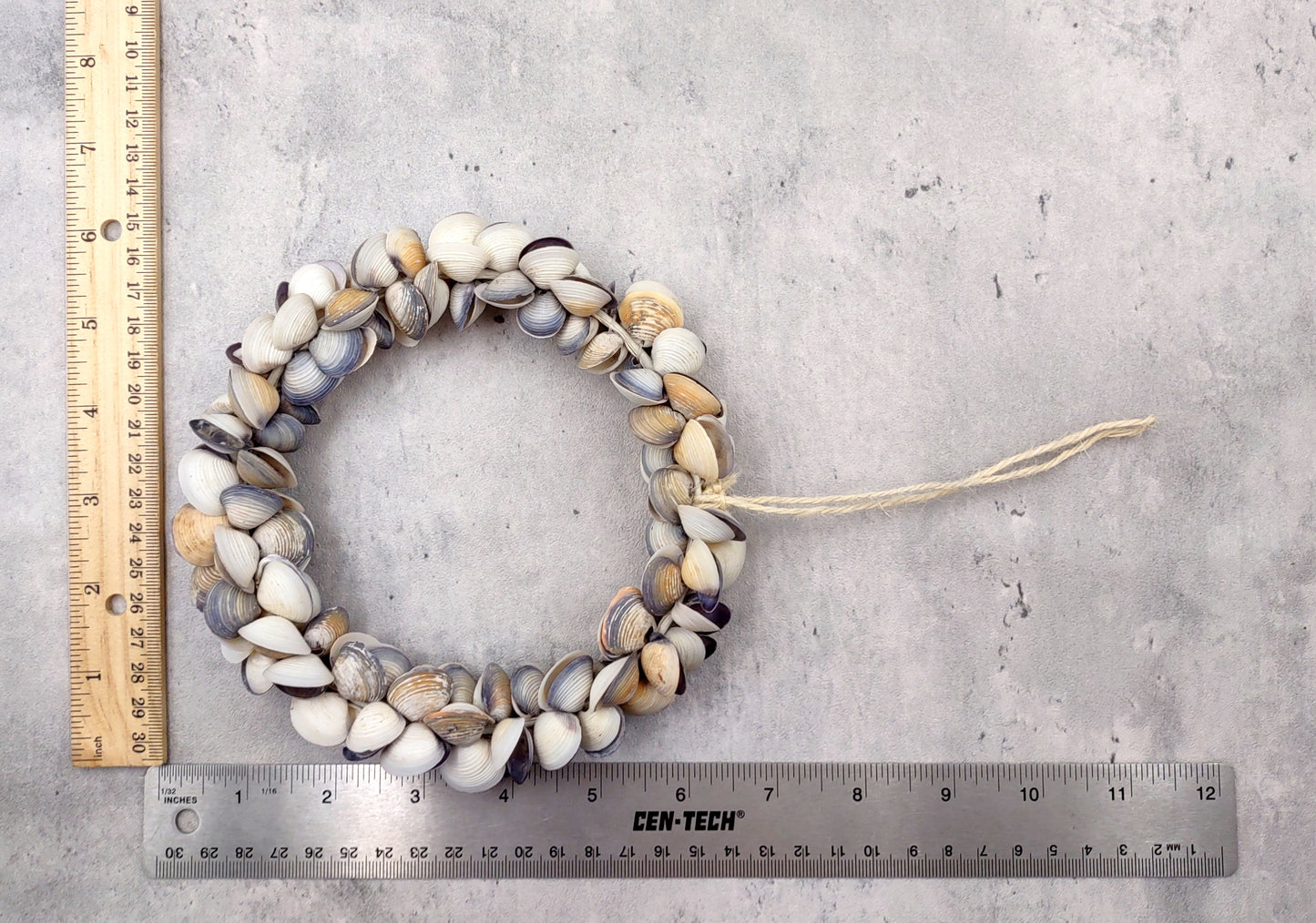 Purple White Cay Cay Seashell Round Wreath (approx. 6+ inch circle 0.75+ inch shells) Nautical Holiday Party Gift Home Décor!