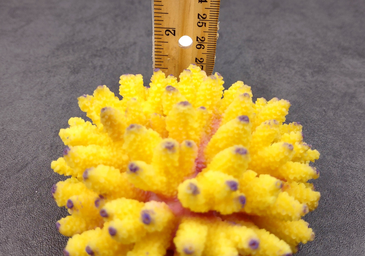 Yellow FAUX Finger Staghorn Coral Acropora Humilis (1 FAKE Coral approx. 4Wx3Tx4D) Perfect coral for any coastal display or crafting! Copyright 2024 SeaShellMart.com.