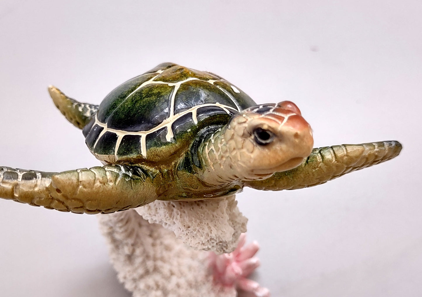 Green Sea Turtle Figurine on Coral Painted Resin (1 turtle approx. 5+ inches) Green Painted Resin Turtle Figure for coastal home décor!