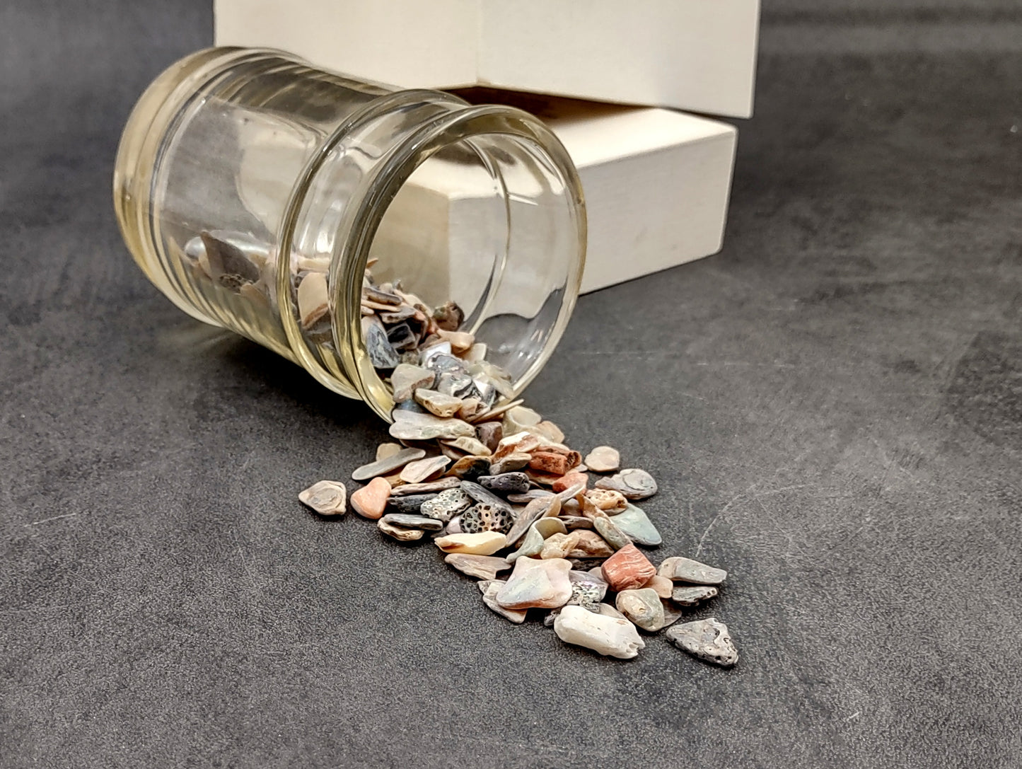 Abalone Seashell Chips (0.25 cup approx. 180+ chips 0.25+ inches) Iridescent shell chips for display crafts & collecting!