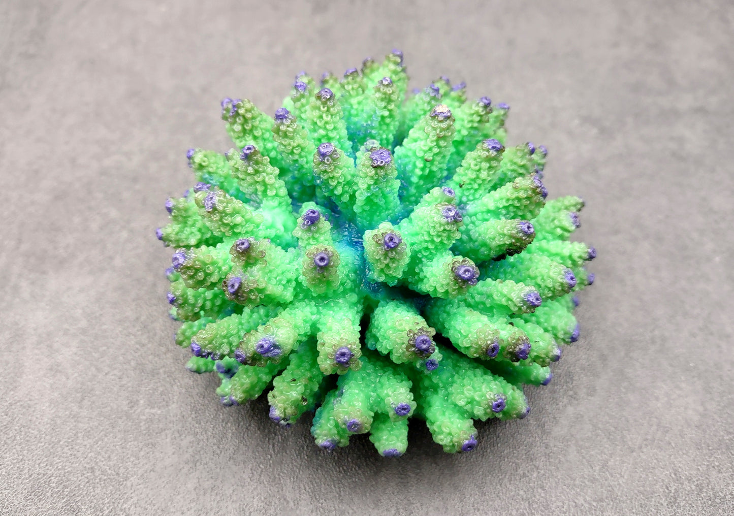 Green FAUX Finger Coral - Acropora Nasuta - (1 FAUX Coral approx. 4Wx3Tx4D inches) on light background. Copyright 2024 SeaShellSupply.com.