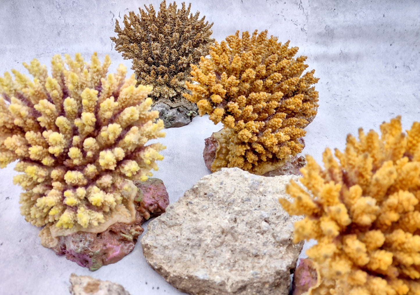 Yellow FAUX Table Coral Acropora Hyacinthus (1 FAKE Coral approx. 3Dx4Tx4W inches) Perfect coral for any coastal display or crafting!