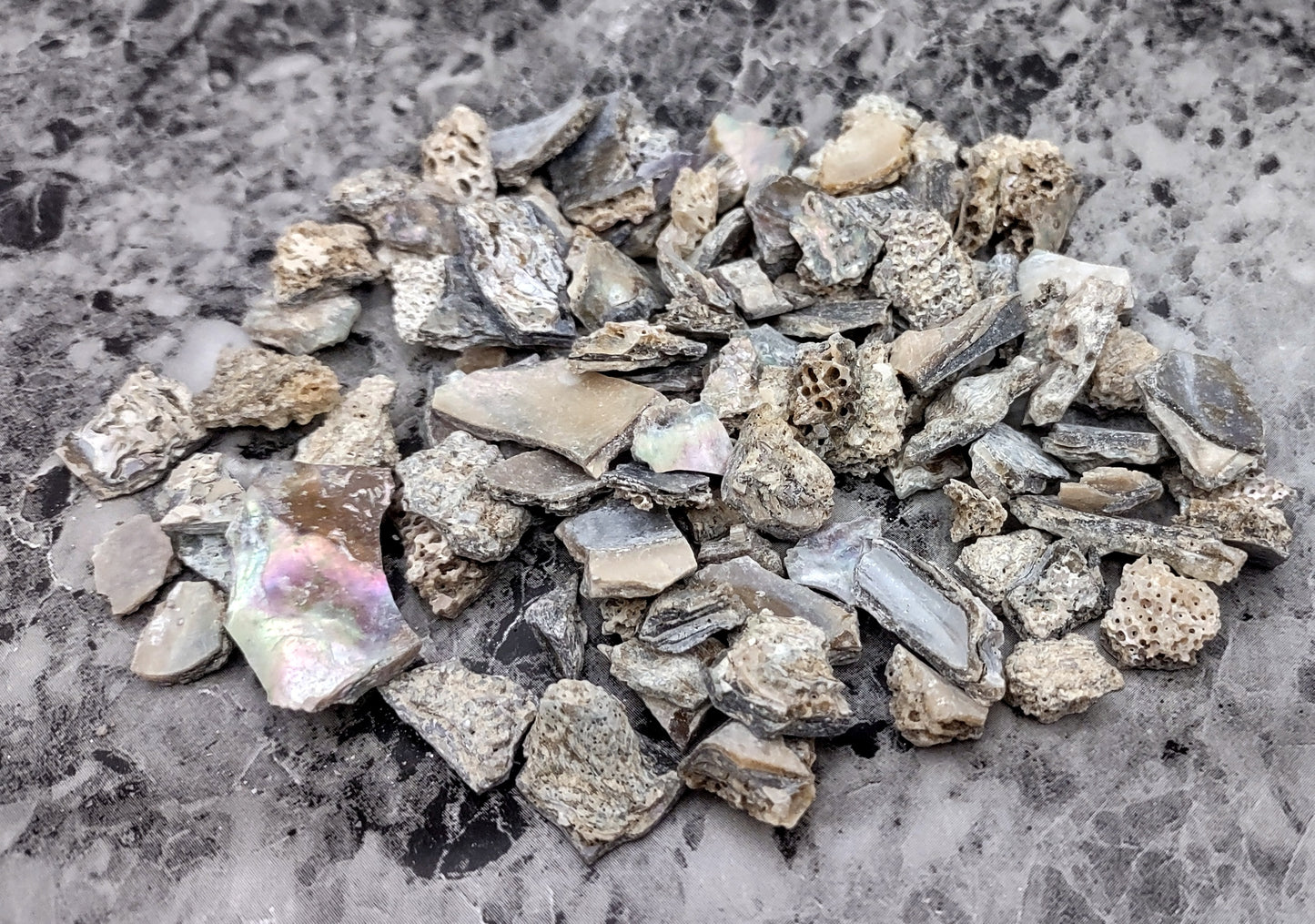 Pink Abalone Seashell Chips (approx. 0.25 cup 170+ chips 0.25+ inches) Great chip pack for coastal crafting arts & displays!