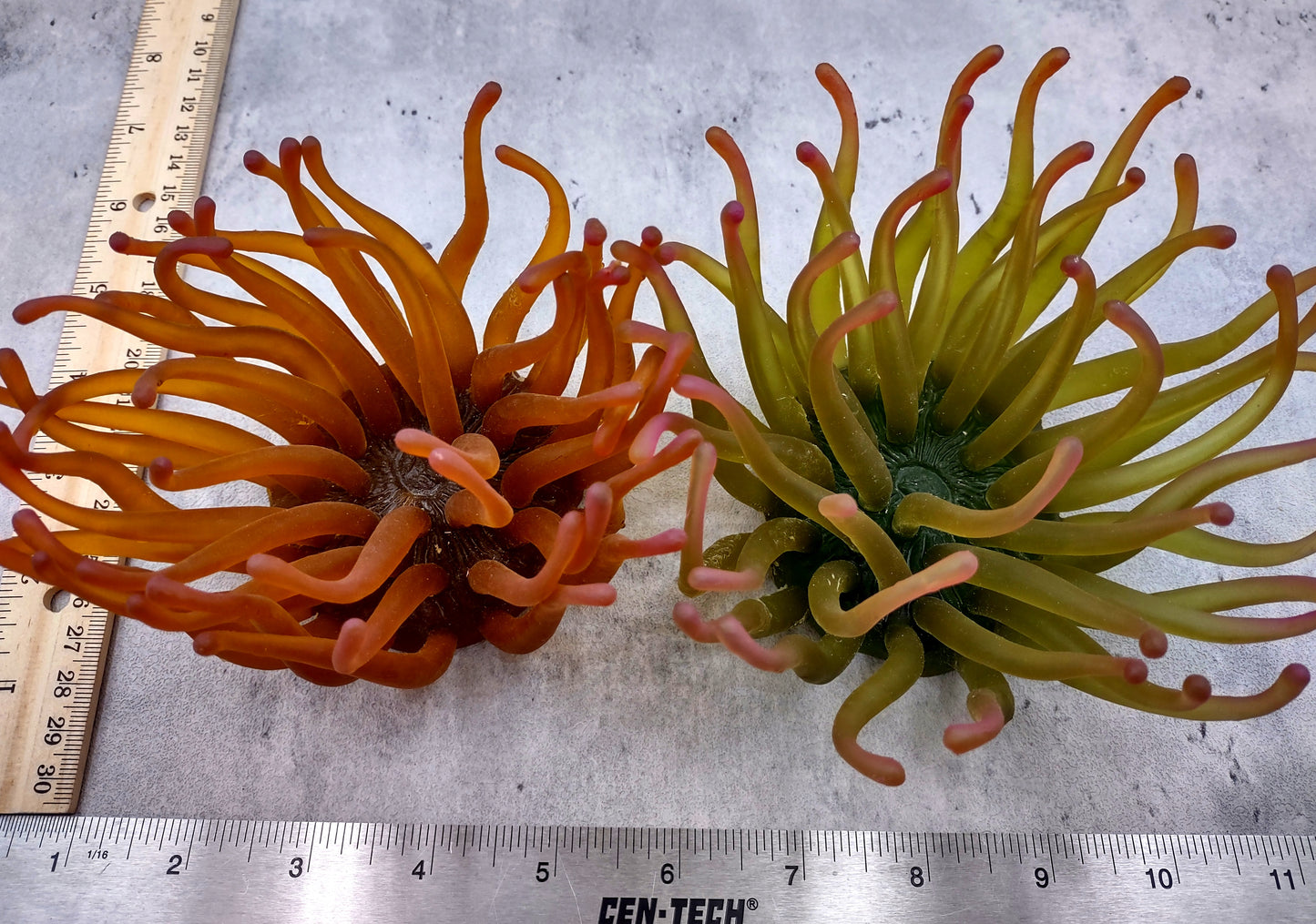 Aqua FAUX Anemone - Condylactis Gigantea - (1 FAUX Anemone approx. 5Wx4Dx5T inches). green ombre fake anemone with pink tipped tentacles. Copyright 2024 SeaShellSupply.com.