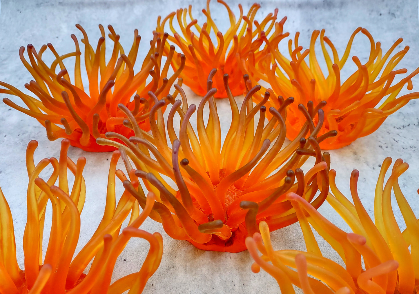 Orange FAUX Anemone - Condylactis Gigantea - (1 FAUX Anemone, Approx. 6Wx3Dx6T). Long armed orange to yellow ombre anemone with a round base. Copyright 2024 SeaShellSupply.com.